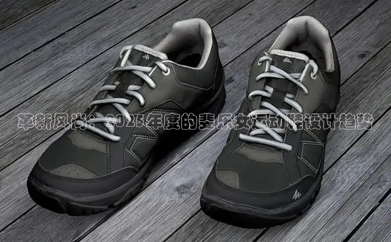 XCSport网页版入口