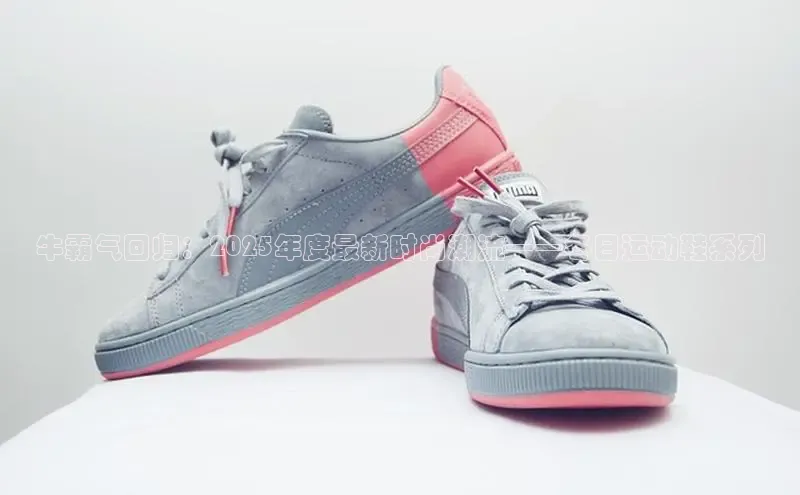 XCSport网页版入口