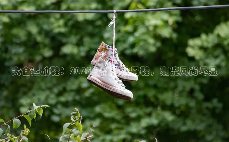 XCSport网页版入口